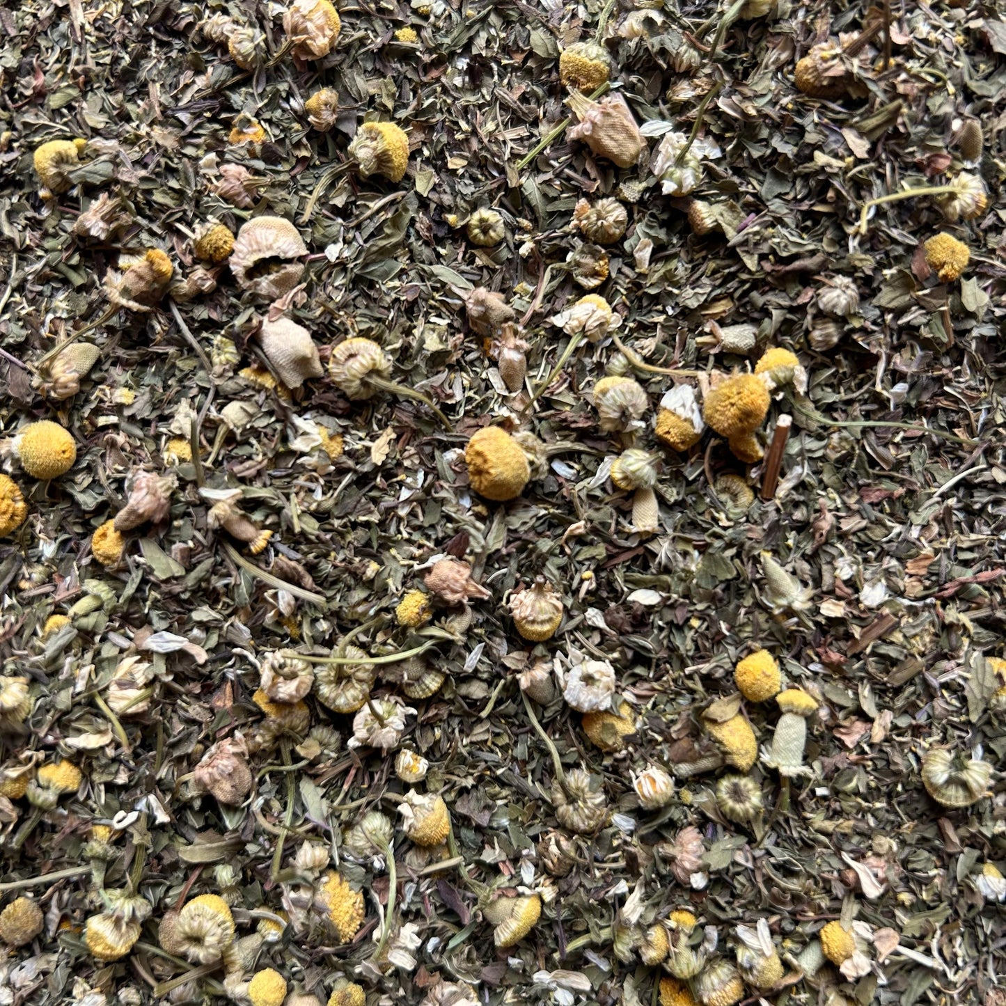 Terra Botanica Loose Leaf Herbal Tea | Chamomile Mint Tea | Caffeine Free Tea | Spearmint Peppermint Thyme Blend